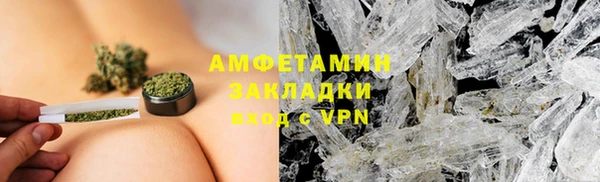 амф Дмитриев