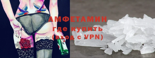 амф Дмитриев