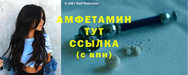 эйфоретик Ельня