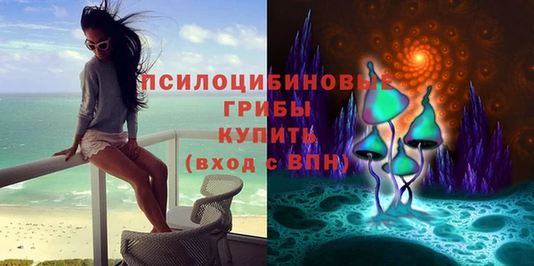 амф Дмитриев