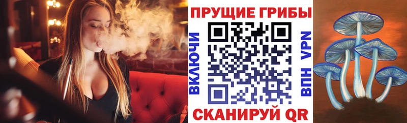 Псилоцибиновые грибы GOLDEN TEACHER магазин наркотиков Прокопьевск